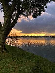 Pampulha lake in the city of Belo Horizonte, Brazil. In this picture, you can see a green lake mirroring a beautiful orange sunset. There’s also a tree on the left side, encountering the left frame of the picture.
