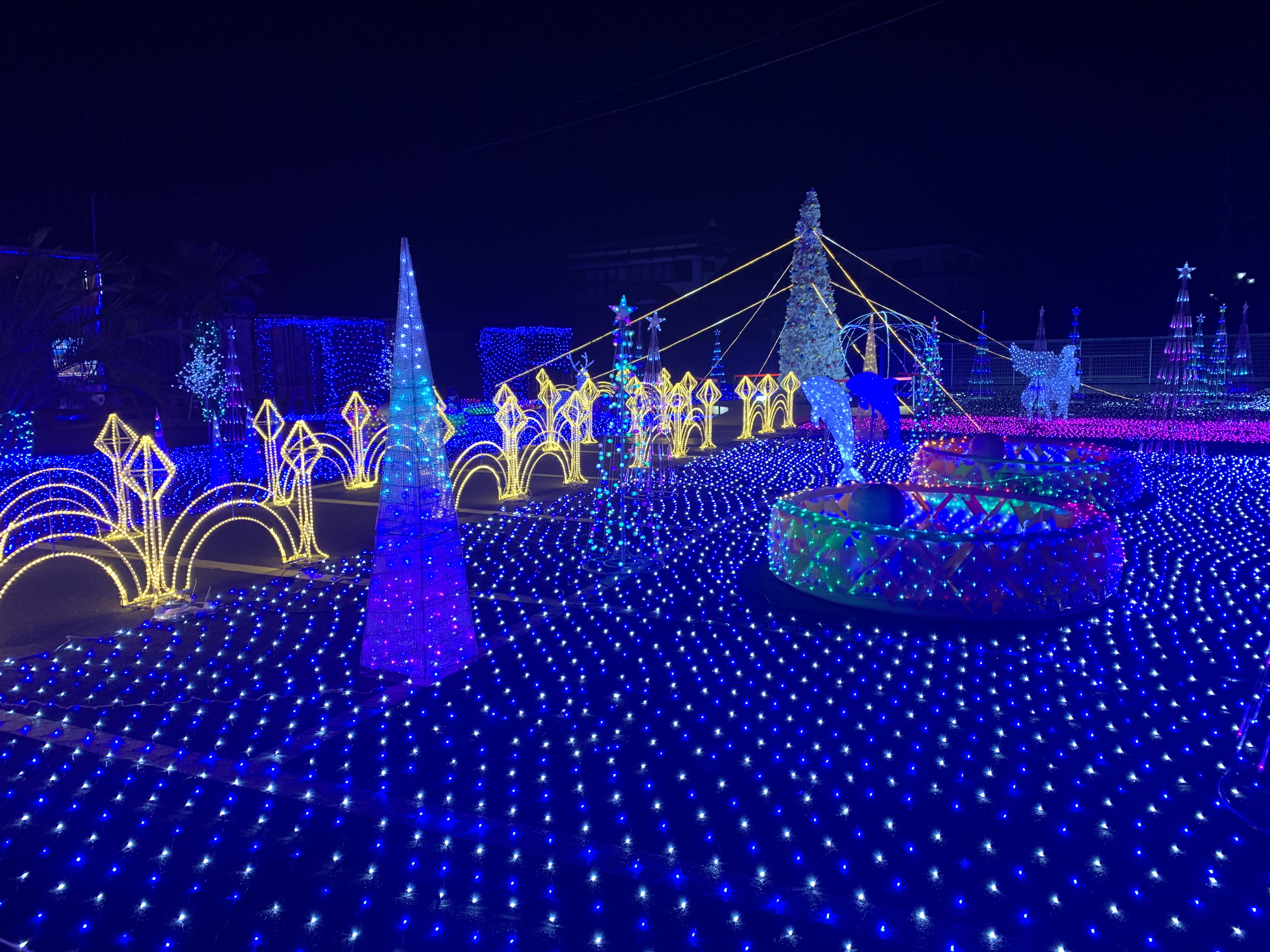 Shirako Town, Chiba Prefecture Christmas Illumination 2