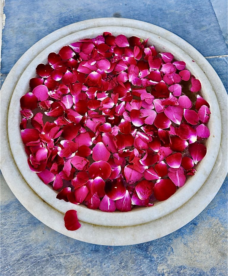 Rose petals in a round marble bowl as a decoration. From Udaipur, Rajasthan