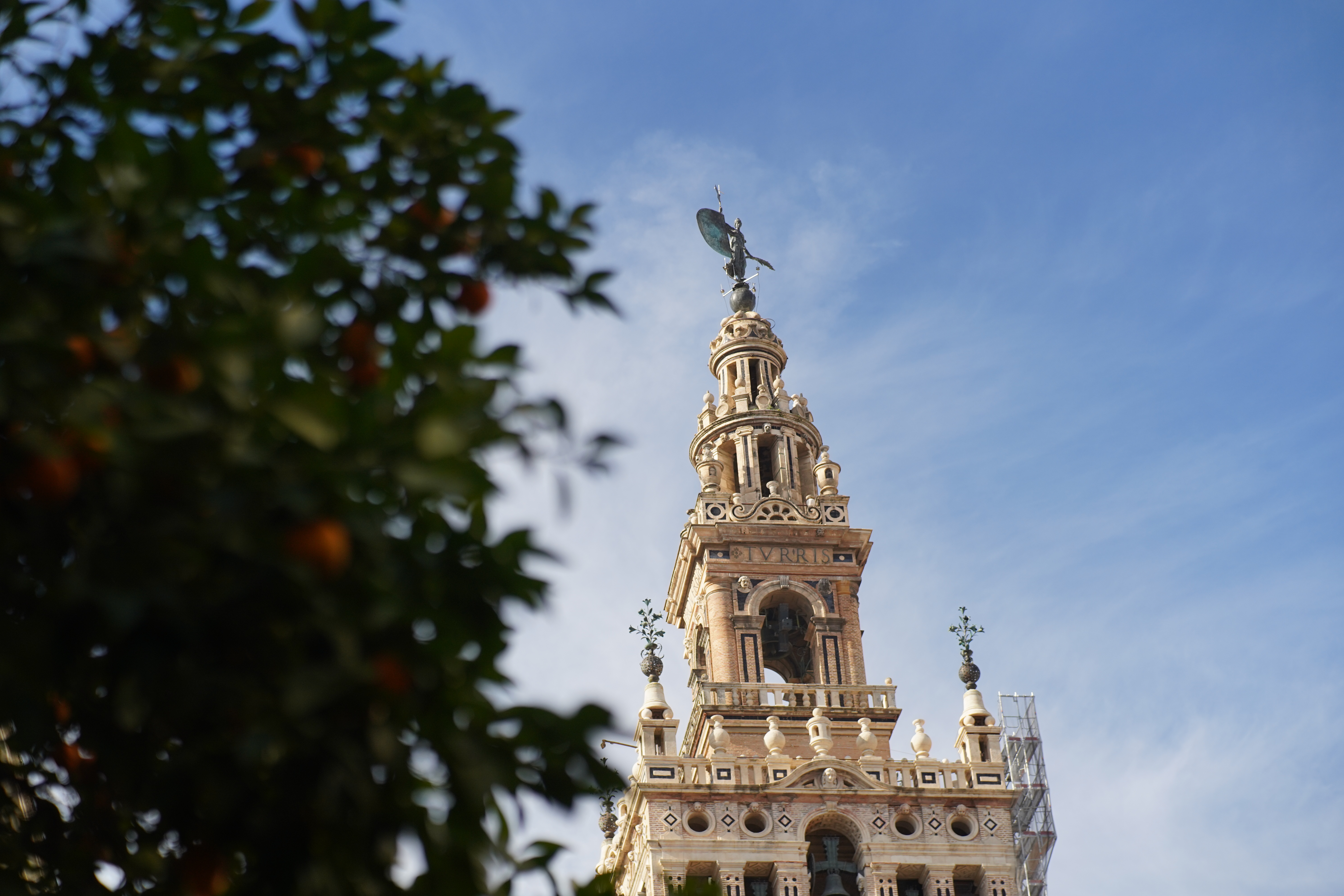 La Giralda, with el Giraldillo on top and an orange tree in front.
