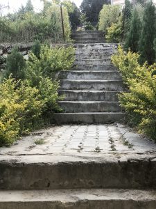 公园楼梯路径
