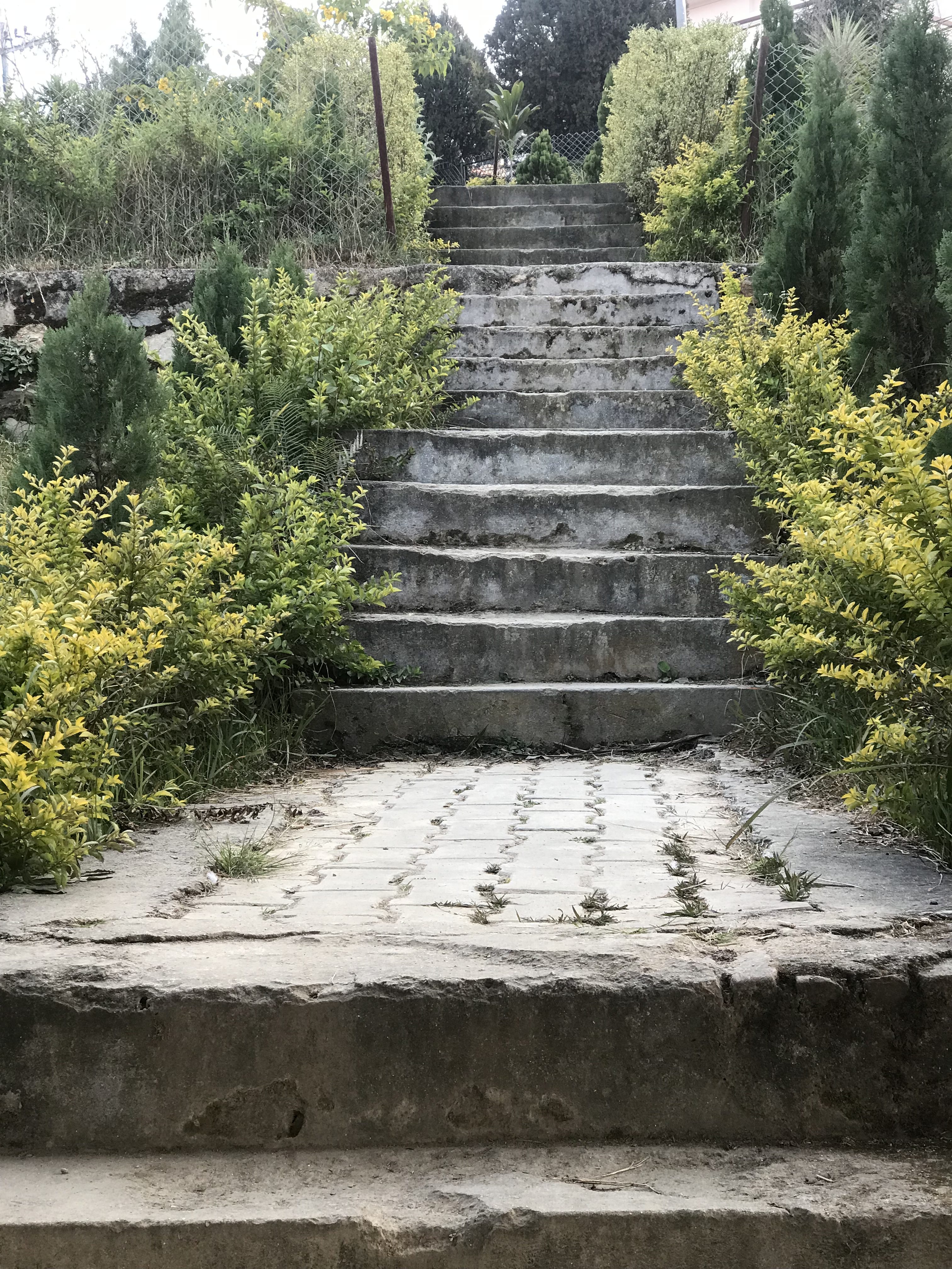 Path of stairs in the park.