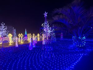 Shirako Town, Chiba Prefecture Christmas Illumination 10