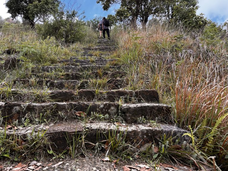 Hiking route: Champa devi to Bhasme Dada!