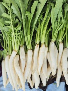 Radishes for sale. From the streets of Adalaj, Gandhinagar, Gujarat. 