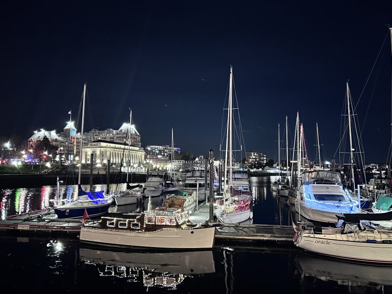 Market on the Pier – Night view near Victoria Island!