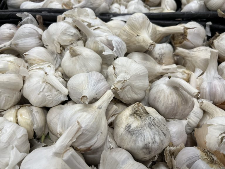 Basket full of garlic bulbs.