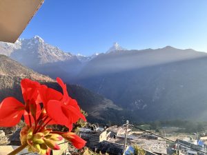 Blossoming beauty: A closeup of a red flower with the majestic Macchapuchhare Himal gracing the frame!