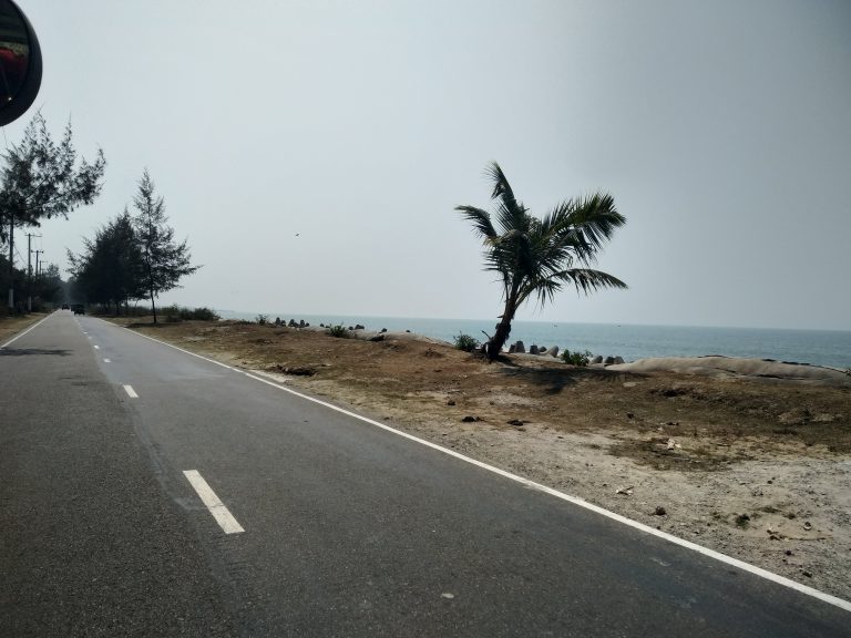 A palm tree by the road offers a view of Marine Drive next to a beautiful blue ocean.