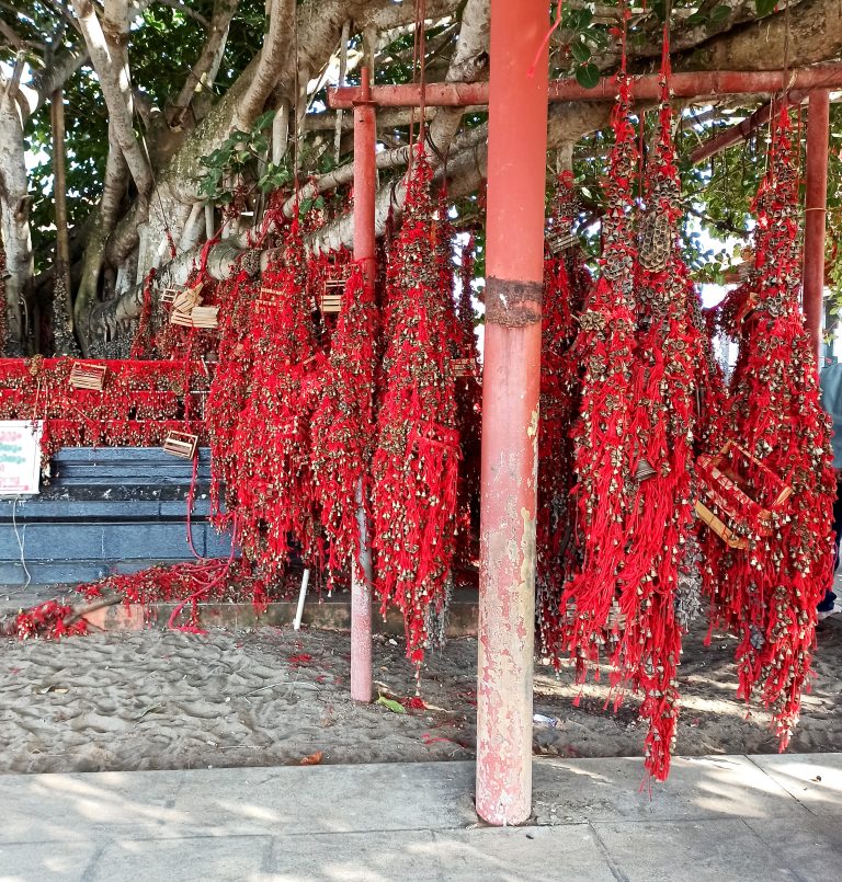 “The tree is adorned with bells that have been tied by the devotees.”