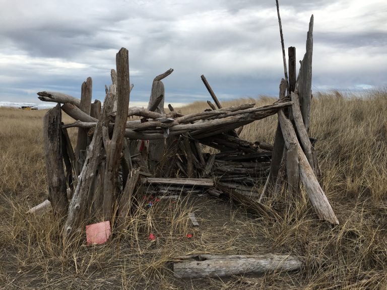 A structure built with driftwood in the dunes in Ocean Shores, Washington by the Pacific Ocean