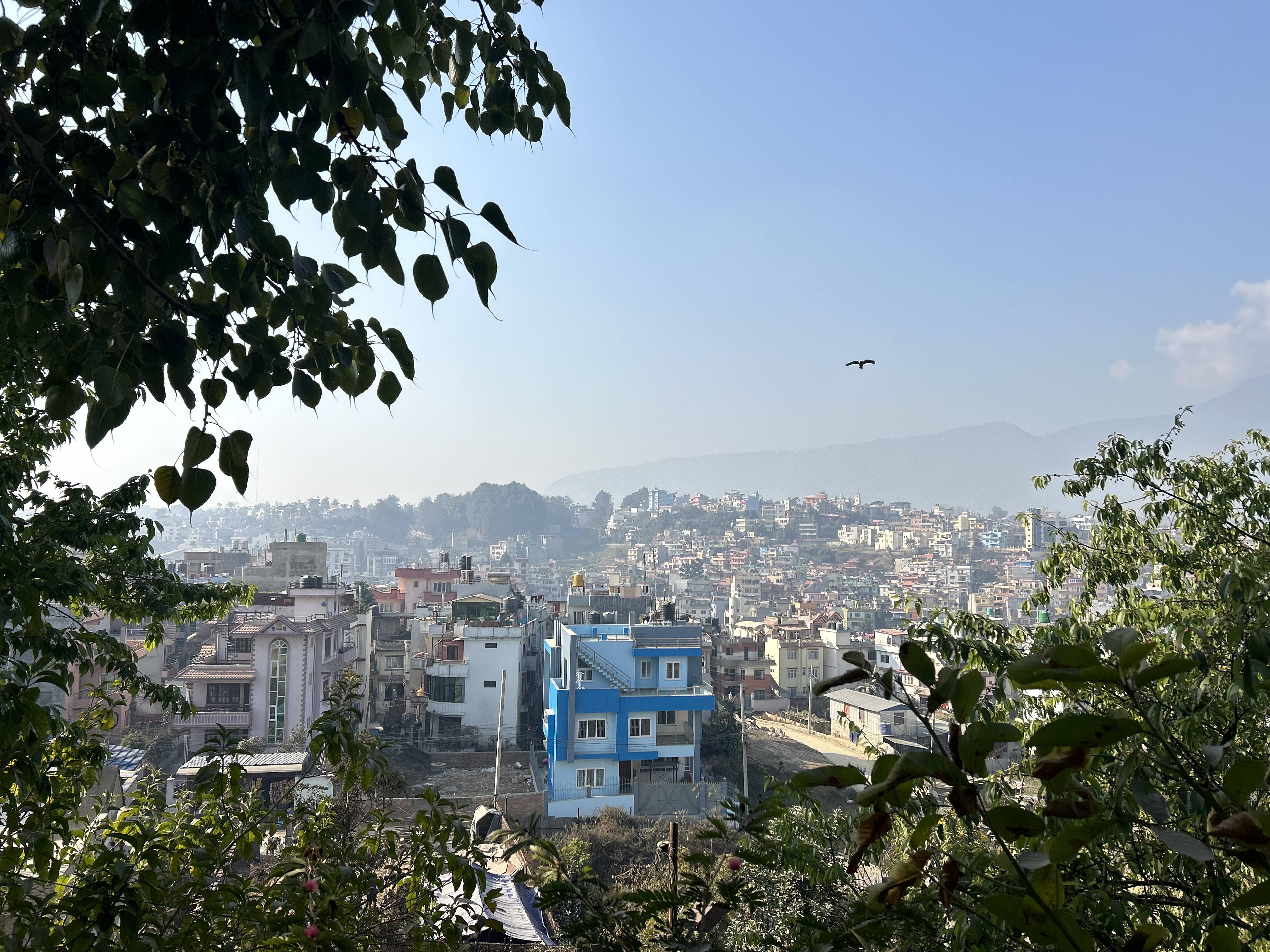 Good morning city view!