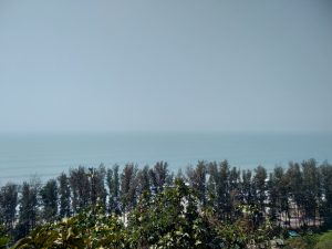 A view of a blue ocean and sky from a hilltop, with lush trees below.