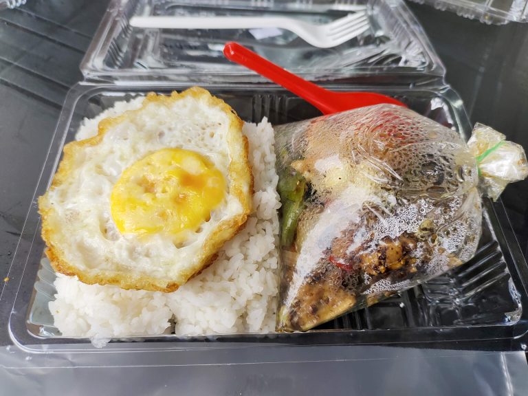 A plastic container filled with rice and a fried egg