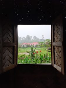 Three red flowers seen through a open wooden fenced window. And the outside is gloomy looking.