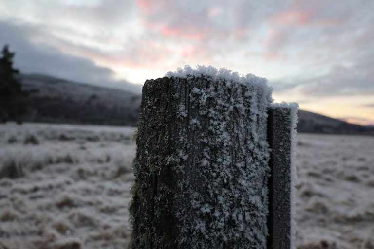 Frost covered fence post with clearly visible ice crystals, sky as a backdrop tinged with sunrise tones