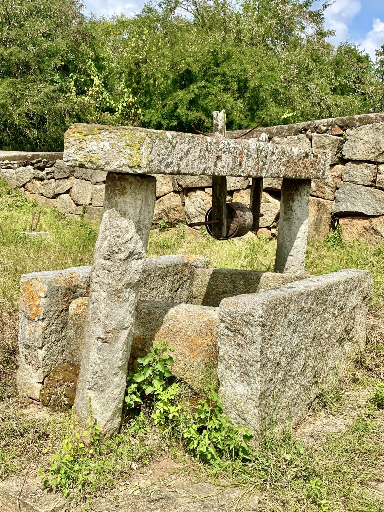 An abandoned centuries old well. From Hassan District, Karnataka.