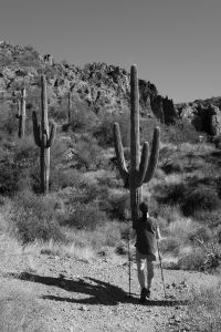 Black and white photo of a person hiking looking up at two giant cacti in Arizona.