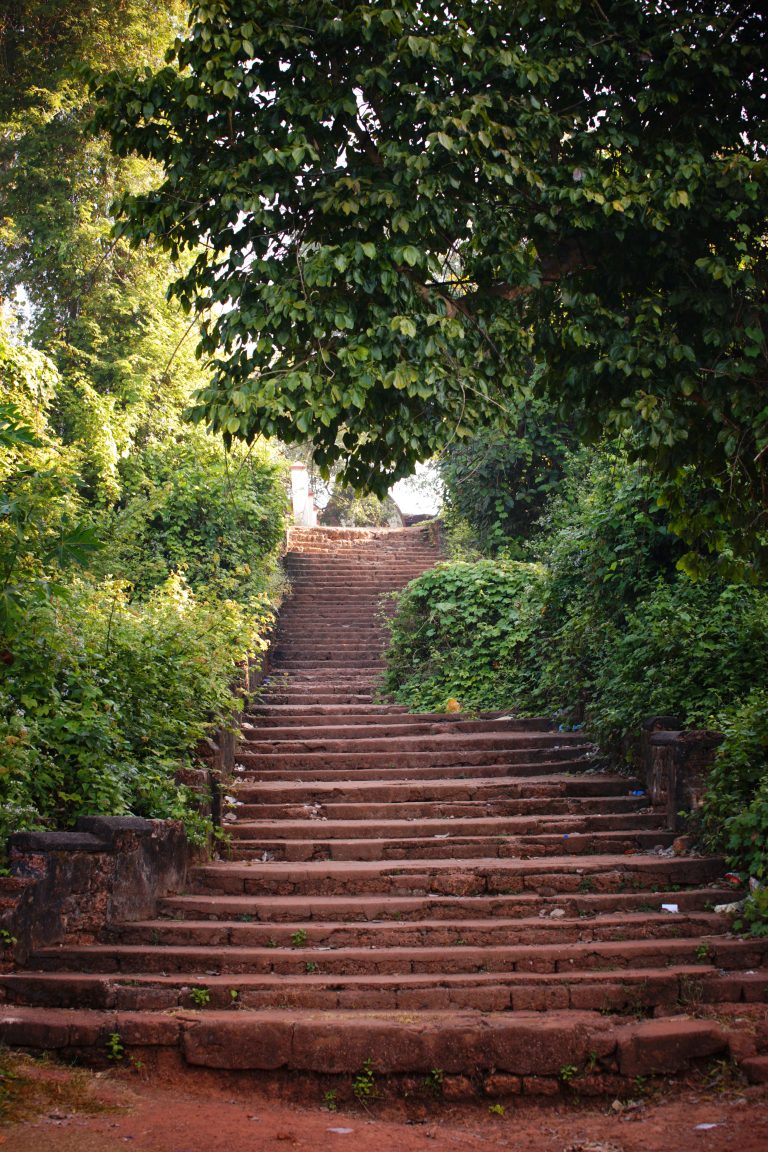 A staircase with trees on either side.