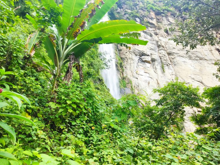 Waterfall In Tropical Jungle