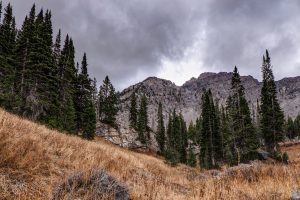 Angry skies threaten rain above the trees in Big Cottonwood Canyon, Utah, with grey rock mountain in the background, brown grasses in the foreground, and tall green pine trees midground.
