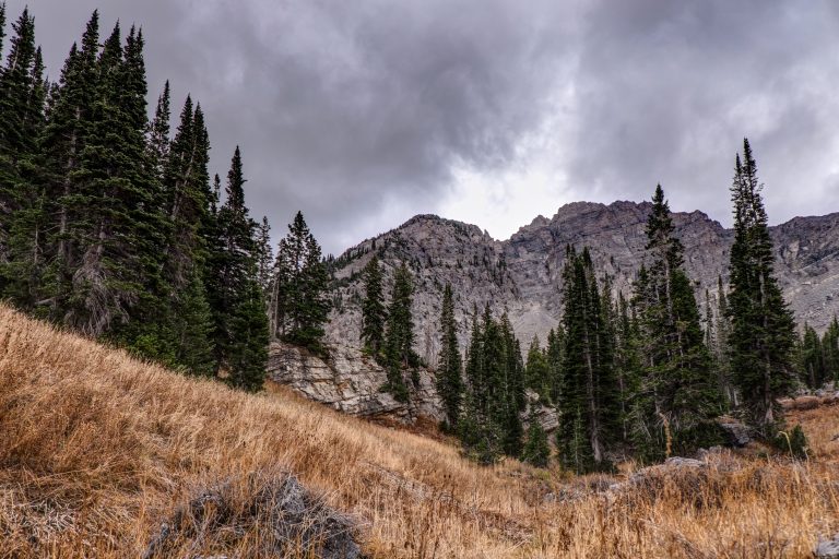 Angry skies threaten rain above the trees in Big Cottonwood Canyon, Utah, with grey rock mountain in the background, brown grasses in the foreground, and tall green pine trees midground.