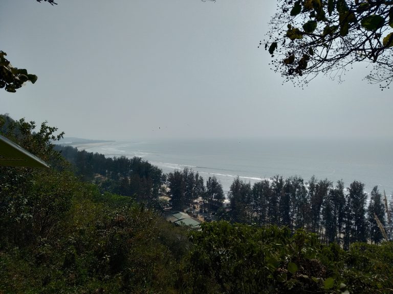 A panoramic view of the ocean, observed from atop a hill, boasts a clear blue sky and an endless expanse of blue waters.