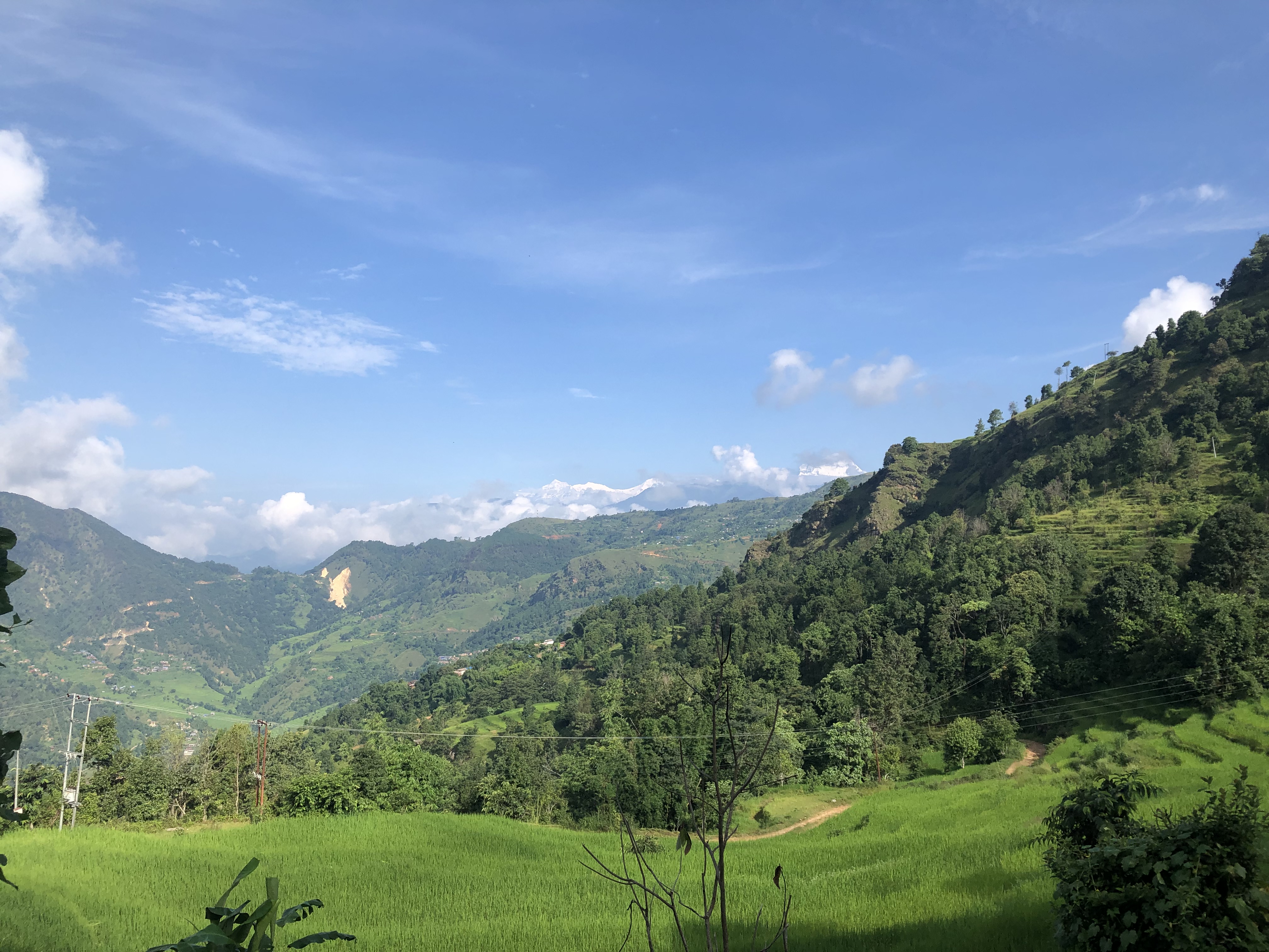 Hills and mountains with rice field with blue vibrant sky