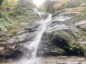 Nature's masterpiece: A stunning waterfall gracing the roadside.