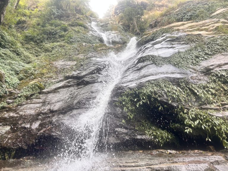 Nature’s masterpiece: A stunning waterfall gracing the roadside.