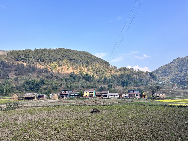 A charming small village embraced by mustard fields under a blue sky.