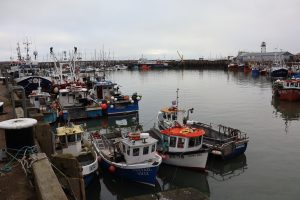 Fishing boats in Scarborough harbour.