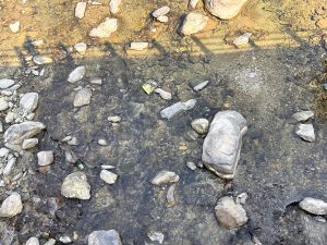 Stones around the water.