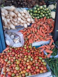 Organic Vegetables in Nepal