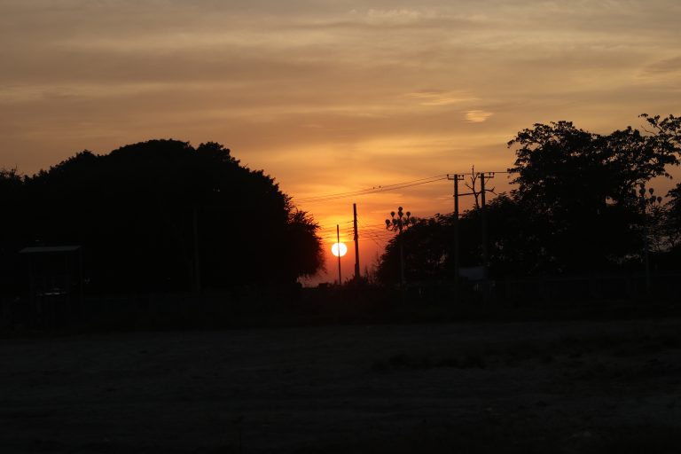 A sunset with silhouette of trees and power lines in the foreground.