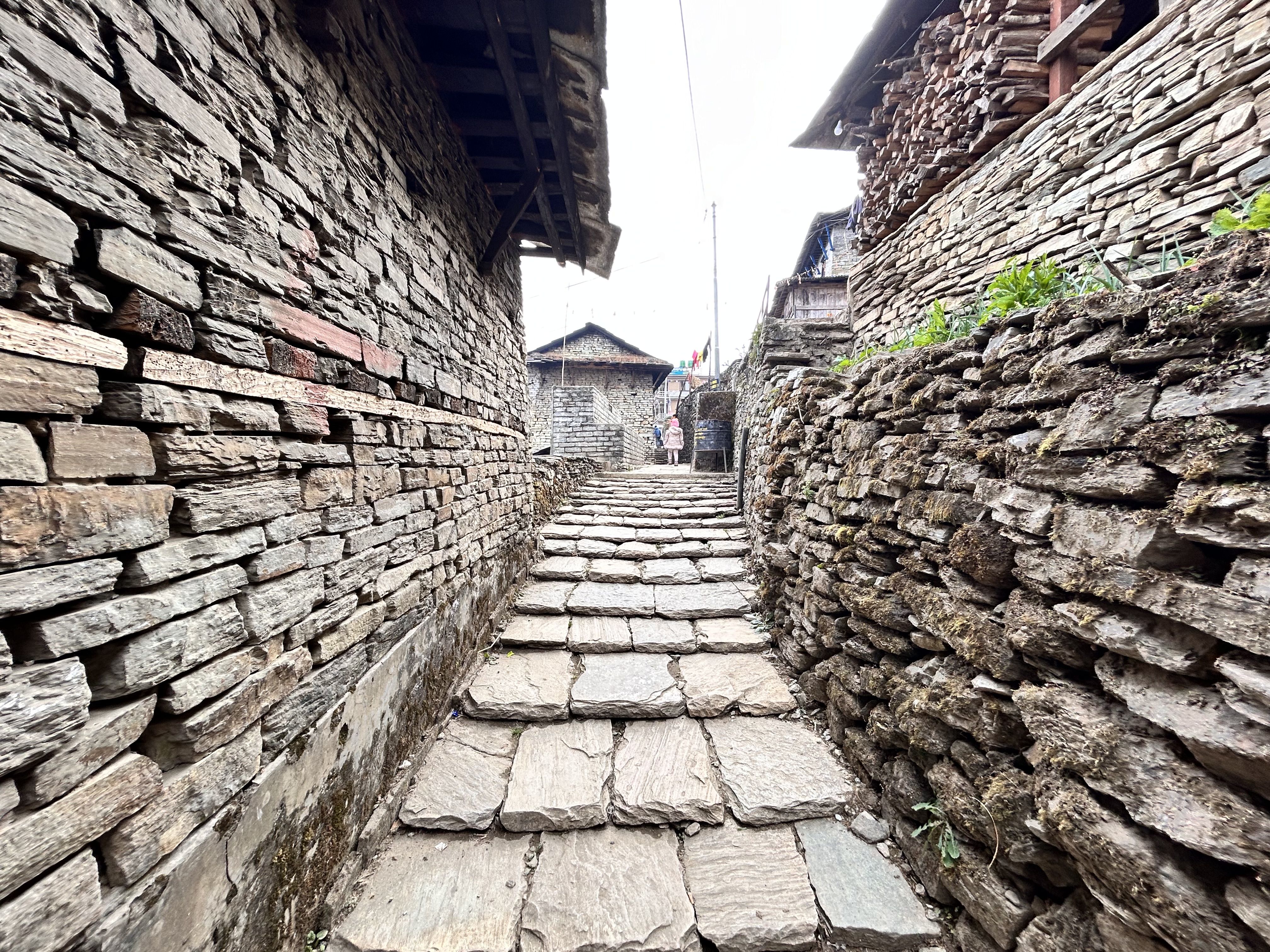 Wandering through a stone-paved trail in a charming Nepalese homestay village