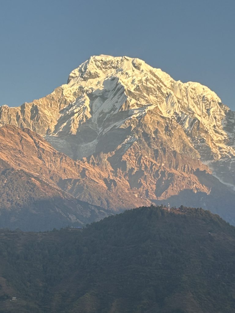 Himalayan close view.