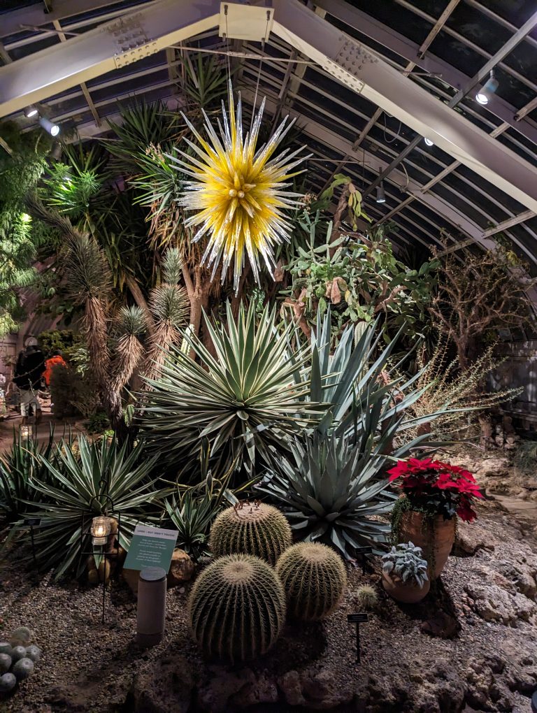 Many round cacti, in a green house, at night, lit up with a yellow glass, spikey orb hanging above it