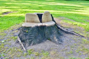 A tree trunk is converted to chairs. From Prague, Cheque Republic.