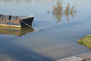 A rusty old boat swimming in a pond tied to a pole on land.