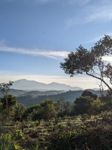 In the embrace of hills, nature whispers its timeless poetry, painting the world in hues of tranquility and revealing the beauty that resides in the undulating curves of the earth