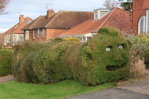 A hedge cut to resemble a snake with a human head. The head has large eyes which seem to be lanterns.