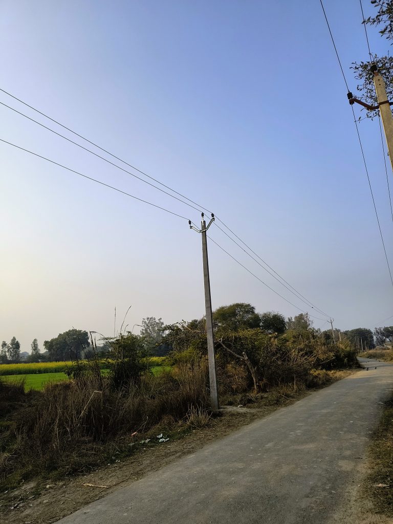 A solitary path, bordered by a utility pole, winds through vast fields, creating a timeless scene of simplicity and beauty.