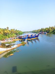 Fishing boats are tied in the lagoon and floating in the water. Coconut trees are on both sides of the water and the clear sky is visible. 