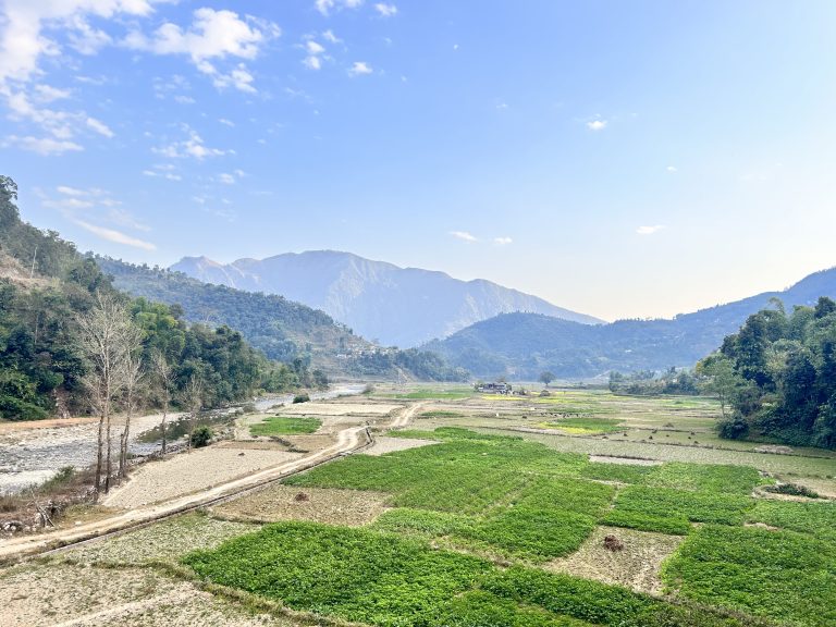 A view of agriculture filed where potatoes are cultivated and hills with green trees and clear sky.