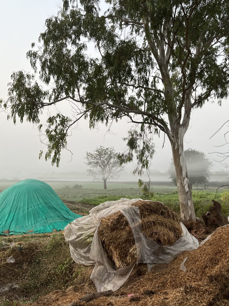 A tree with a bag of hay placed beside it