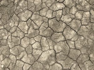 An overhead view of dry dirt with mud cracks.