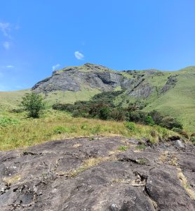 Eravikulam National Park -  is located along the Western Ghats in the Idukki and Ernakulam districts of Kerala in India.