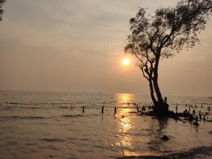 Gualikhali Beach Sunset