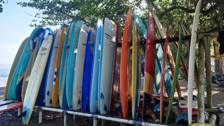 Surf Boards standing next to each other at a rental shop